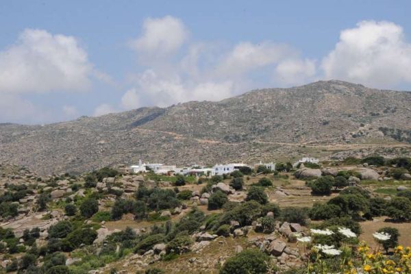 d8ec340b4851ba9bf85a4507e4397cd9_bolax